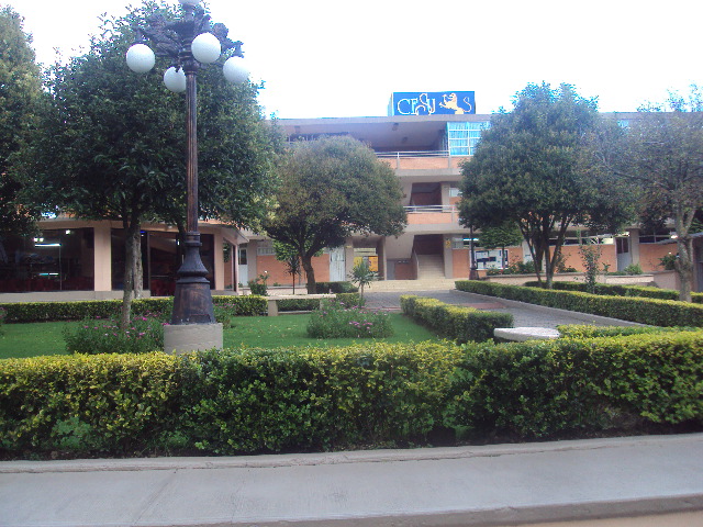 CESU Universidad